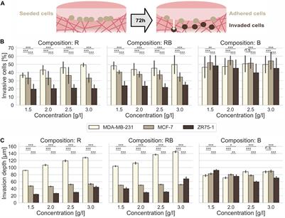 Inhomogeneities in 3D Collagen Matrices Impact Matrix Mechanics and Cancer Cell Migration